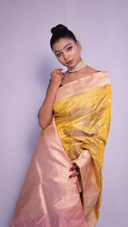 Vaishnav: Luxurious Katan silk banarasi saree