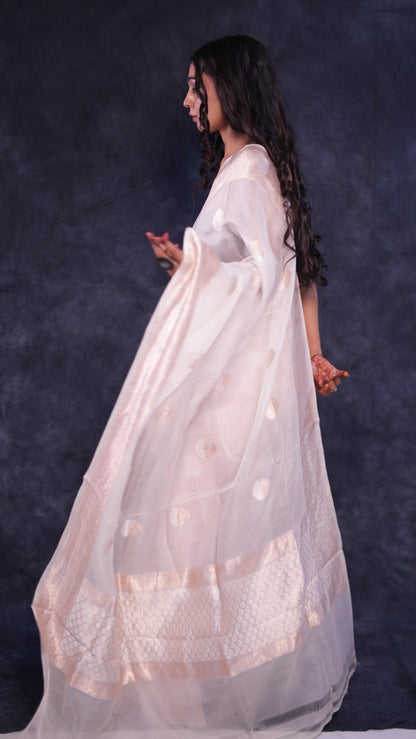 Pristine white Organza Banarasi saree