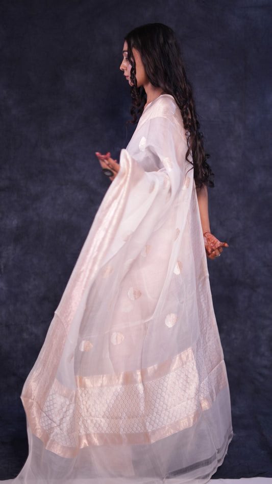 Pristine white Organza Banarasi saree
