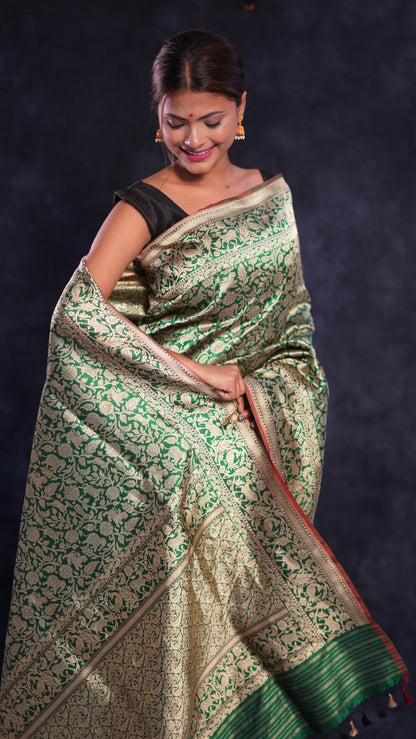 Bhavy: Pure Katan silk handwoven Banarasi saree